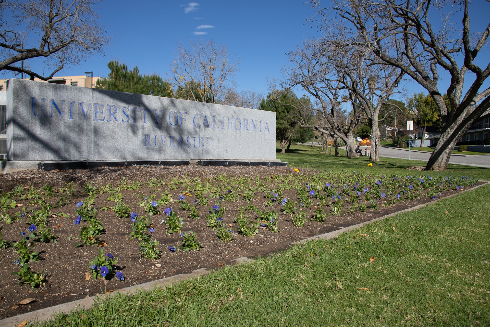 UCR Campus